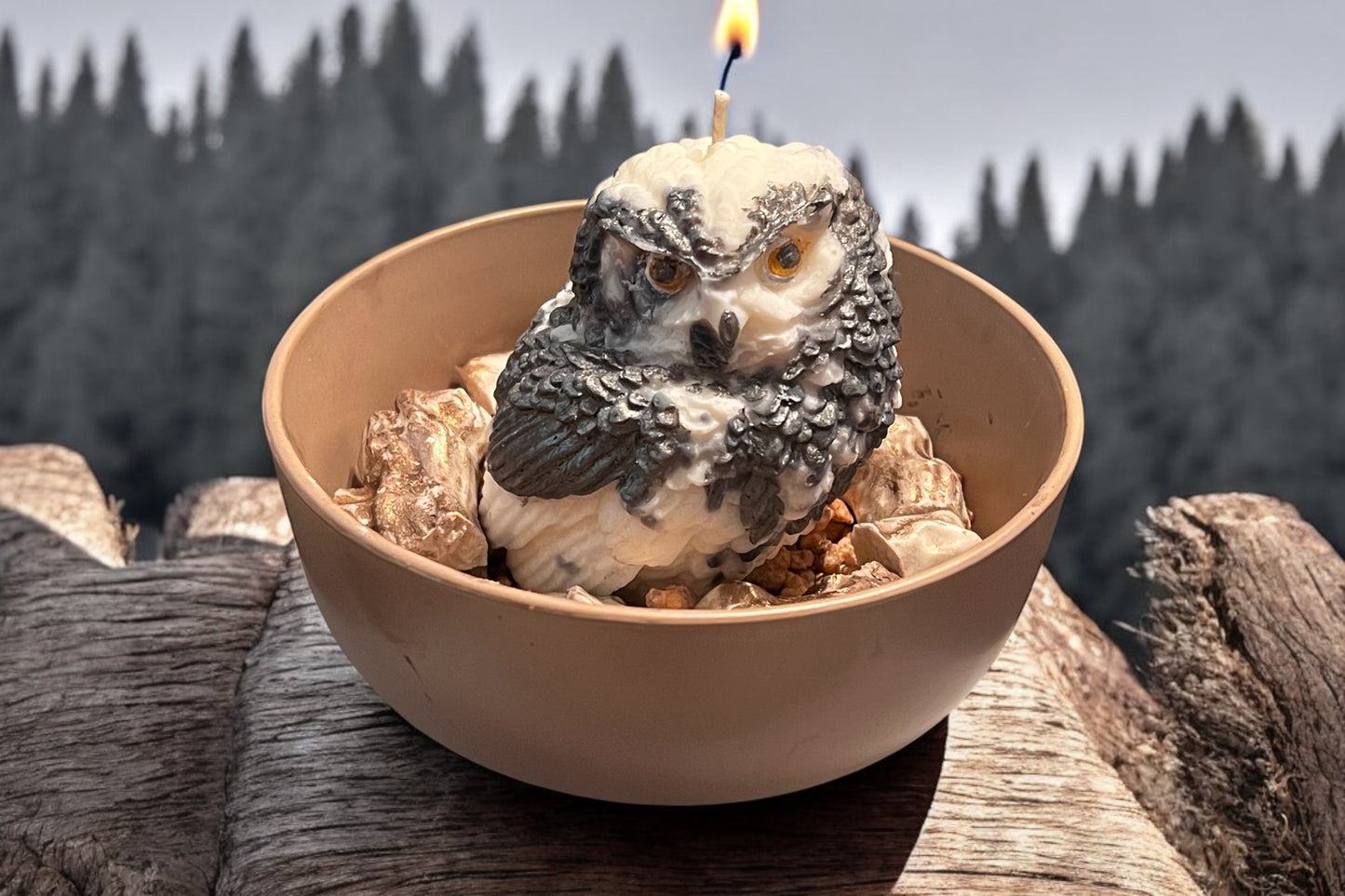 Wizard's Owl